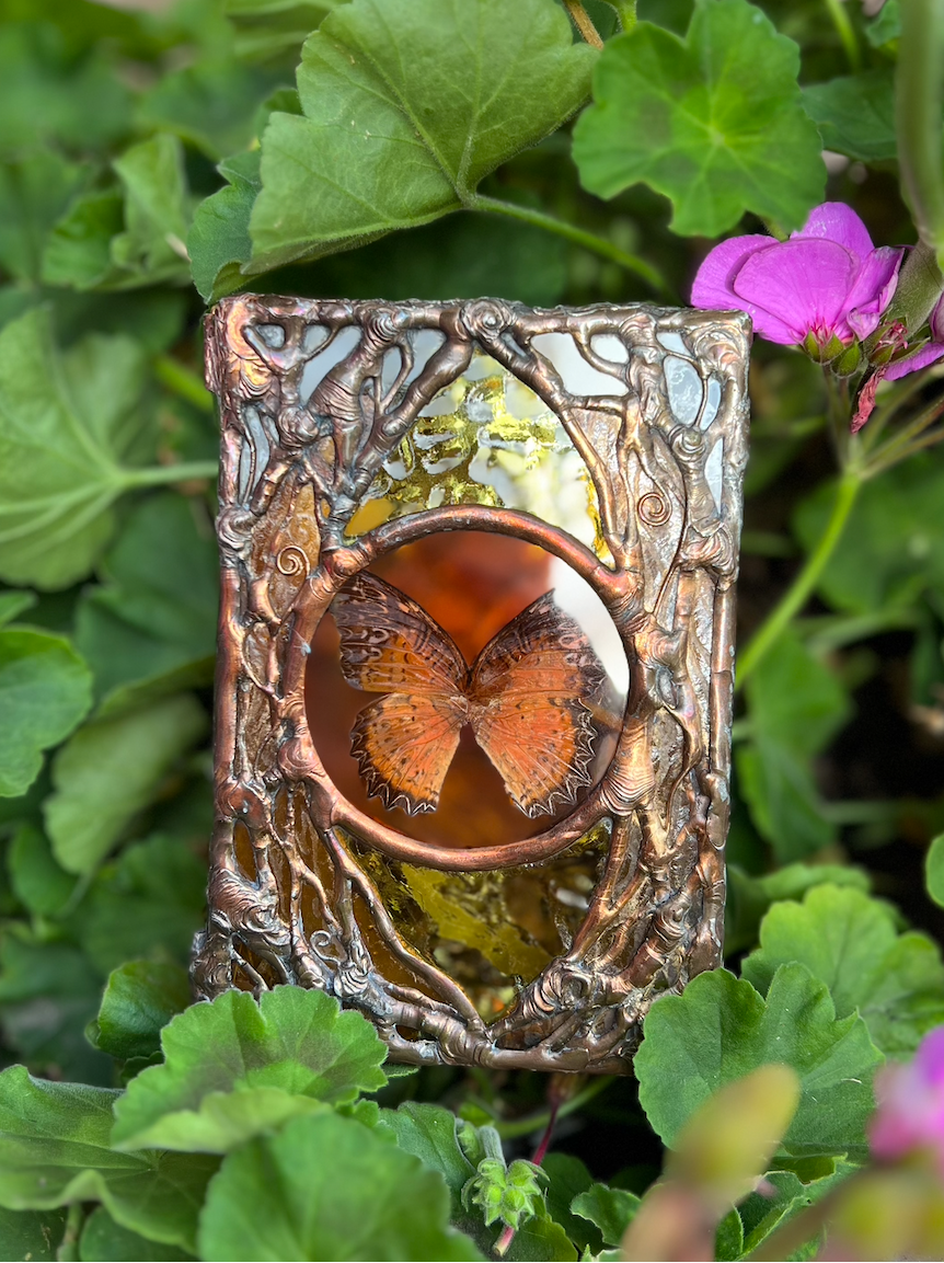 Butterfly Sun