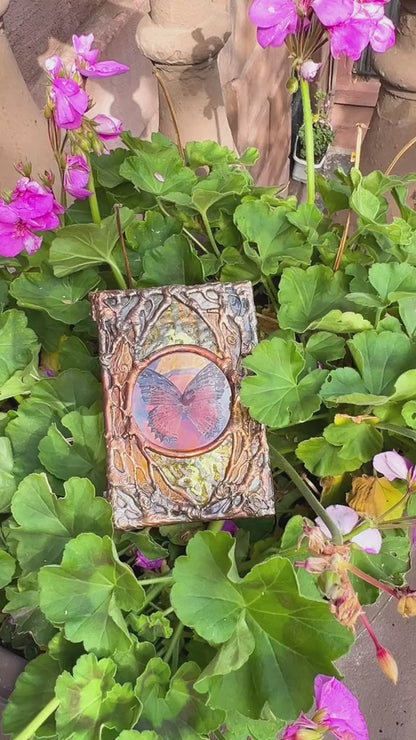 Butterfly Sun